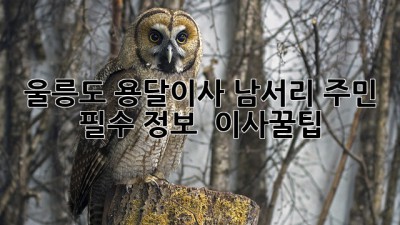 울릉도 용달이사, 남서리 주민 필수 정보 🚚📦 #이사꿀팁