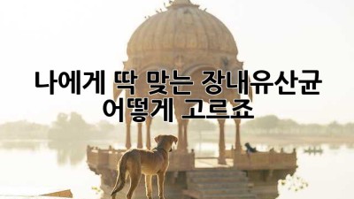 나에게 딱 맞는 장내유산균, 어떻게 고르죠? 🤔