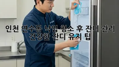 인천 연수동 낙엽 청소 후 잔디 관리: 건강한 잔디 유지 팁